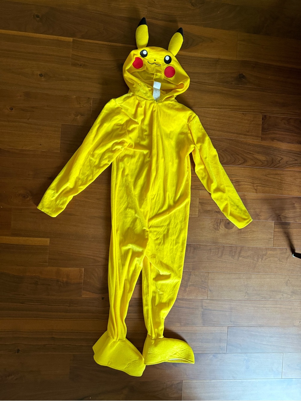 Pikachu Costume